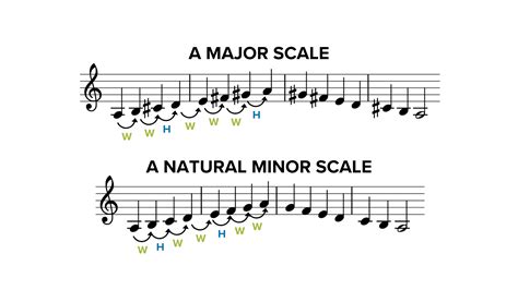 What is Major and Minor in Music: A Symphony of Emotions and Theories